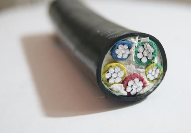 金聯(lián)宇電纜用到機(jī)器人身上能起到什么作用.jpg